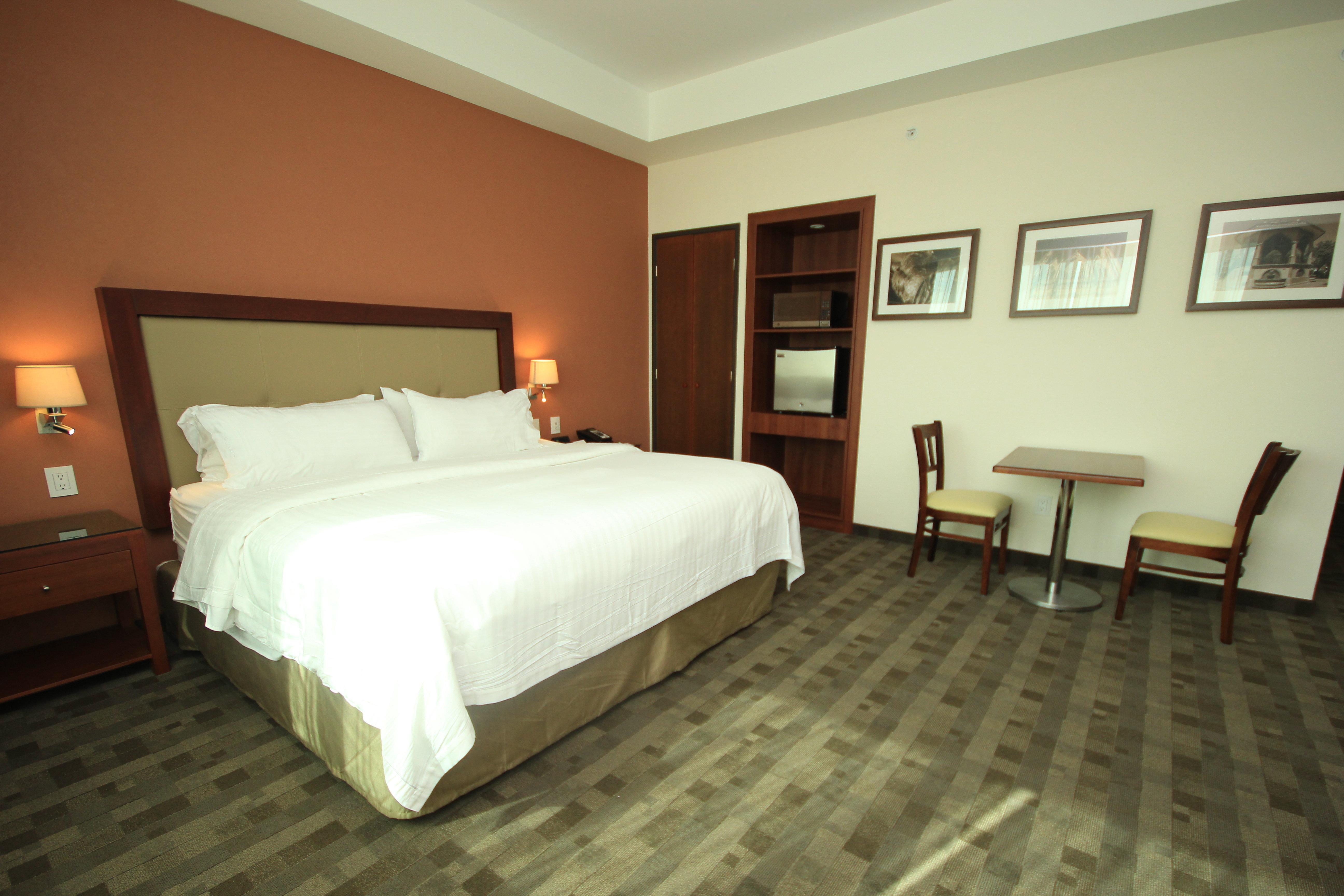 Holiday Inn & Suites Plaza Mayor By Ihg León Esterno foto